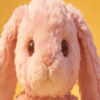 100x100_auto 100x100_auto