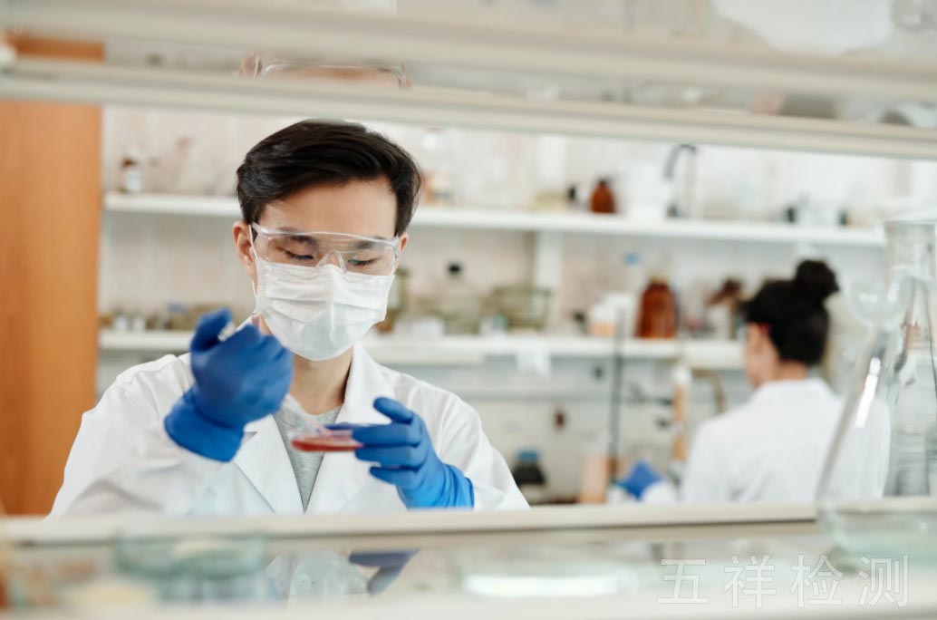 ������ʱ(�й�)�������ǲ�!