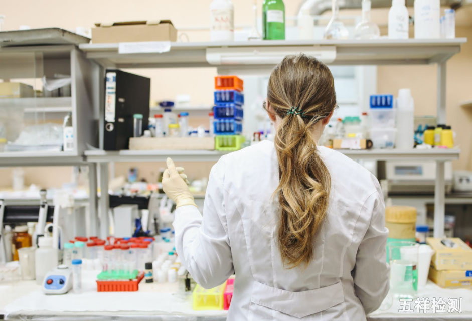 ������ʱ(�й�)�������ǲ�!