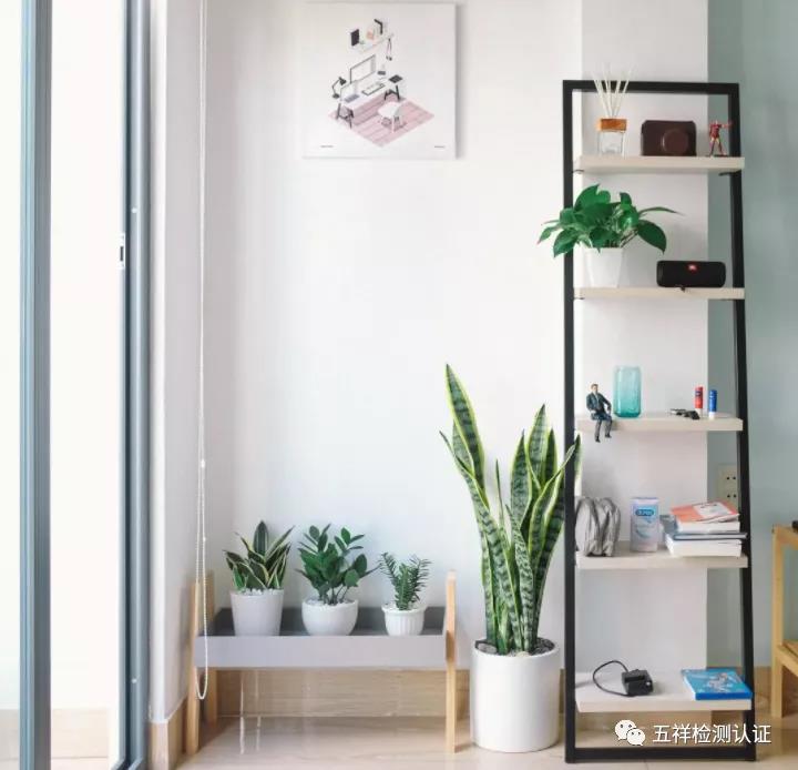 ������ʱ(�й�)�������ǲ�!